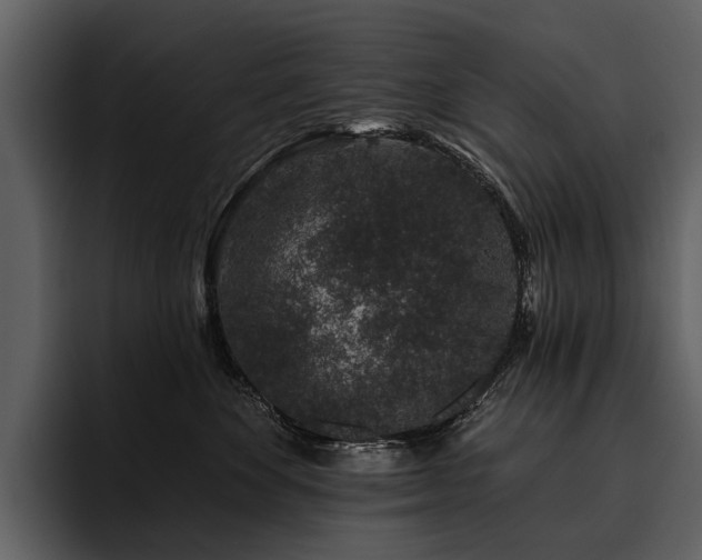 X0000095920524200801111237