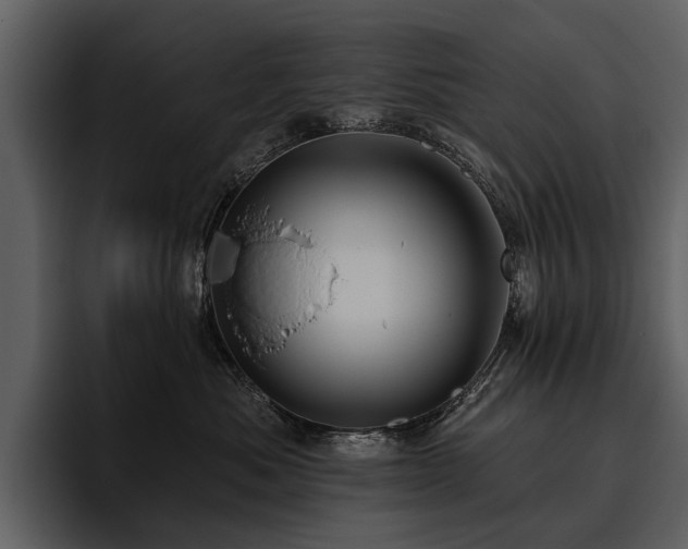 X0000095920525200801111237