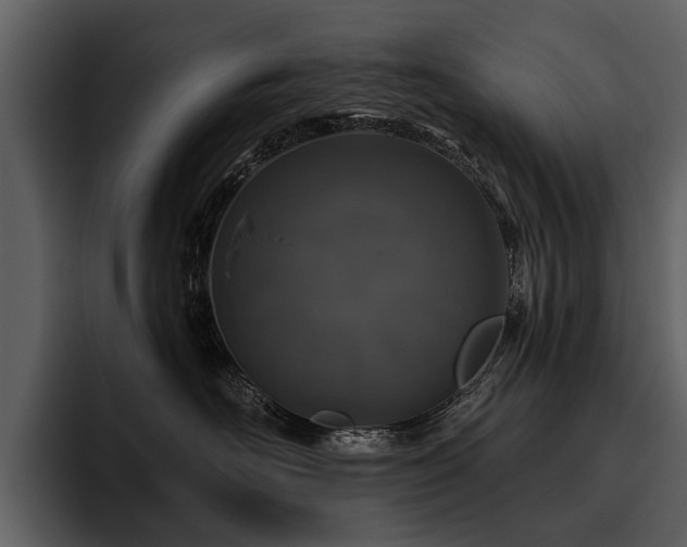 X0000095920526200801111237