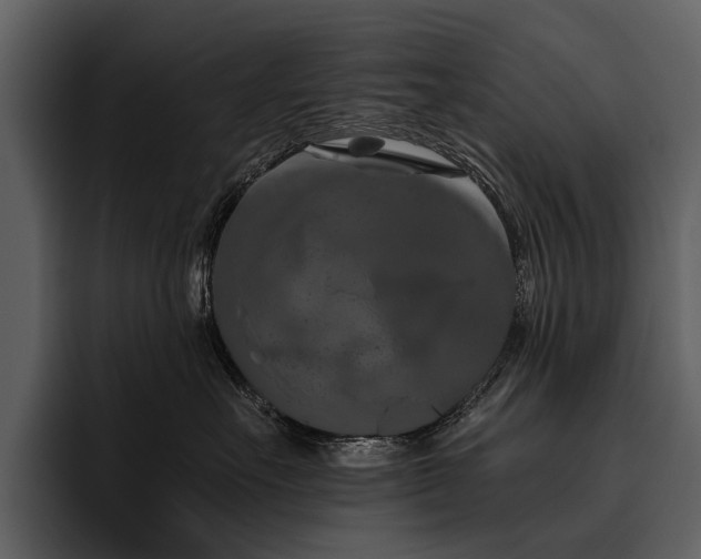 X0000095920527200801111237