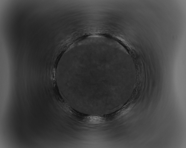 X0000095920528200801111237