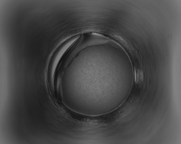 X0000095920531200801111237