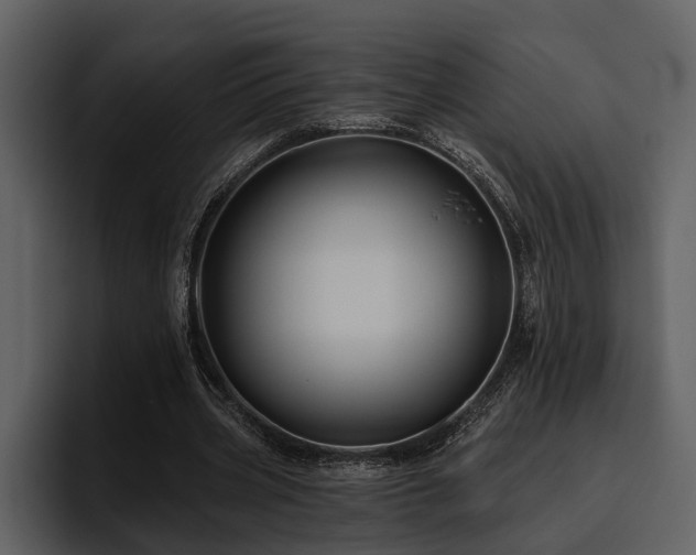 X0000095920533200801111237