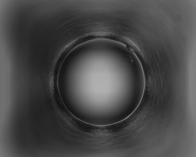 X0000095920535200801111237