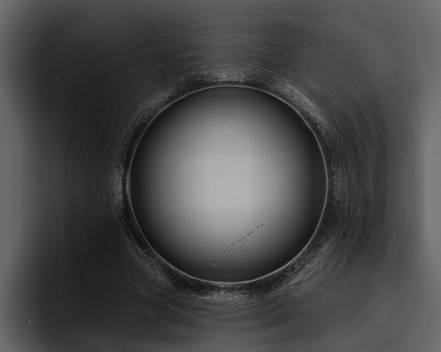 X0000095920537200801111237