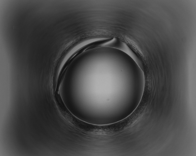 X0000095920538200801111237