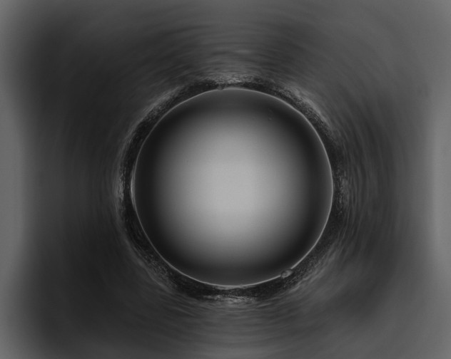 X0000095920539200801111237