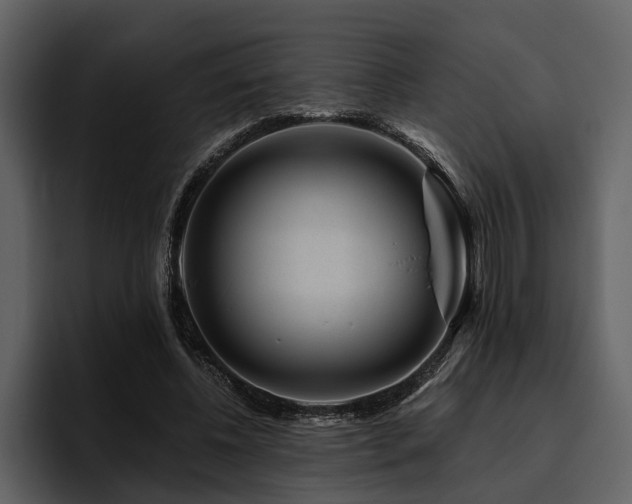 X0000095920540200801111237