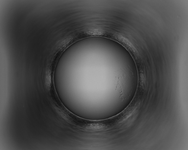 X0000095920541200801111237