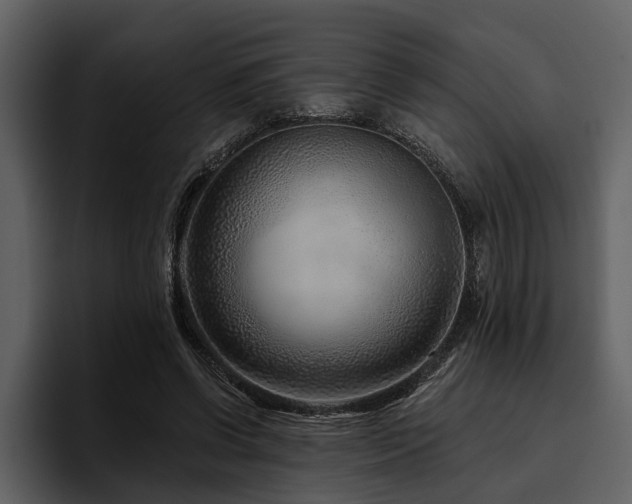 X0000095920542200801111237