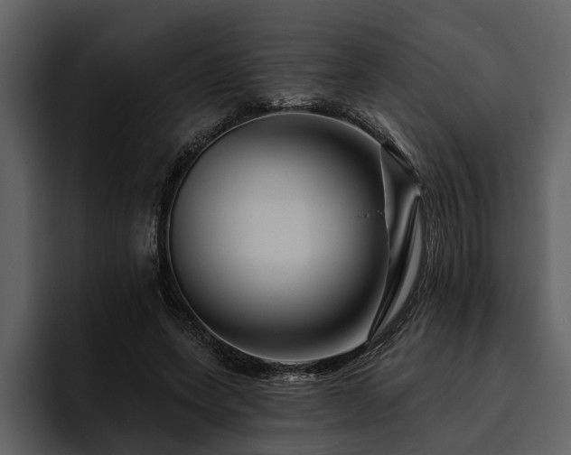 X0000095920543200801111237