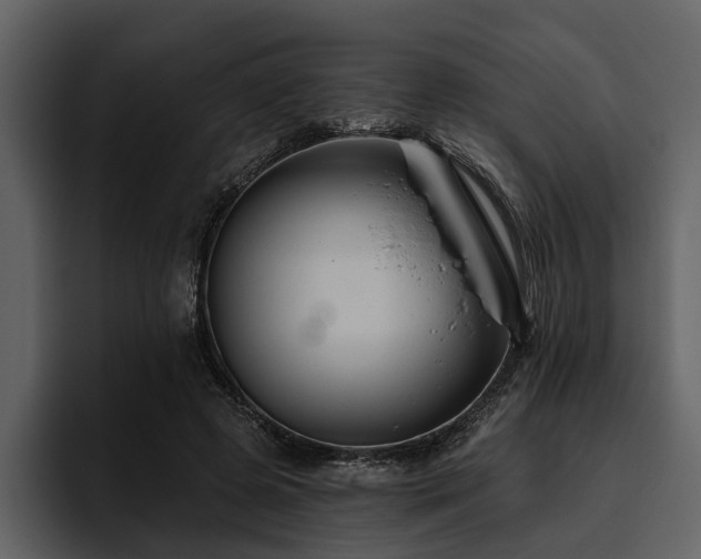 X0000095920545200801111237