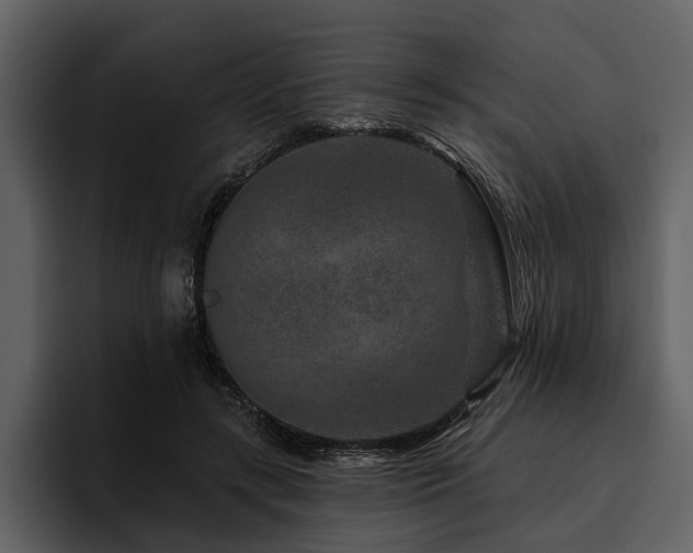 X0000095920547200801111237