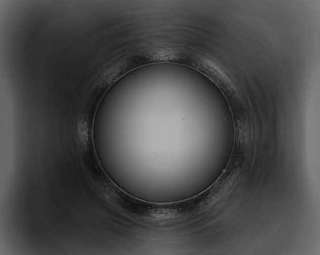 X0000095920549200801111237
