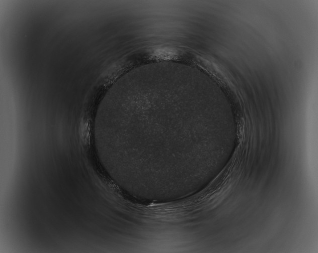 X0000095920551200801111237