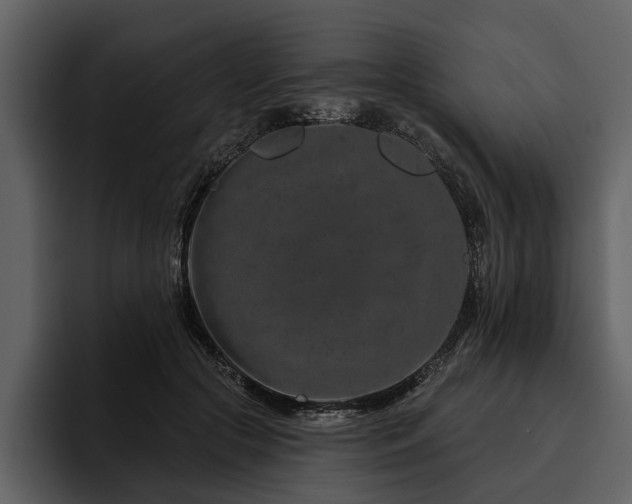 X0000095920553200801111237