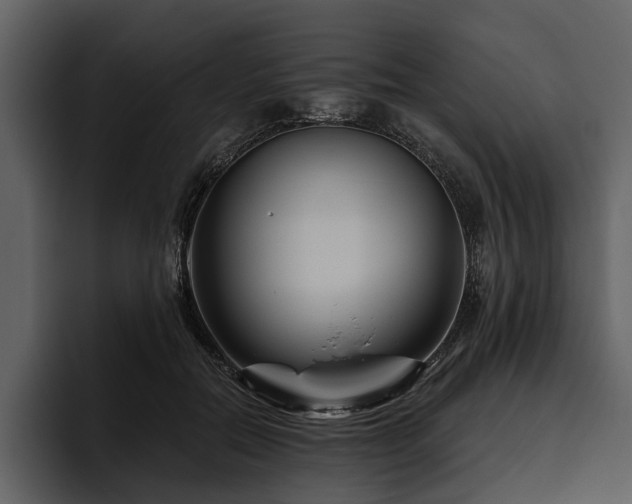 X0000095920554200801111237