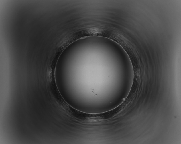 X0000095920556200801111237