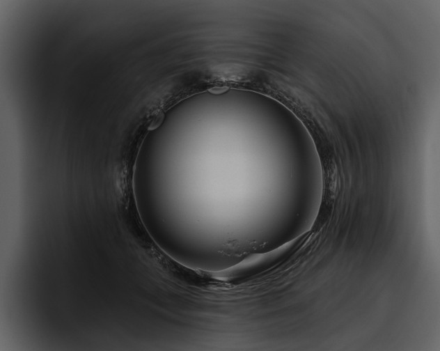 X0000095920559200801111237