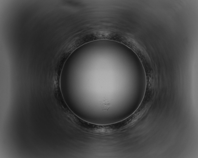X0000095920561200801111237