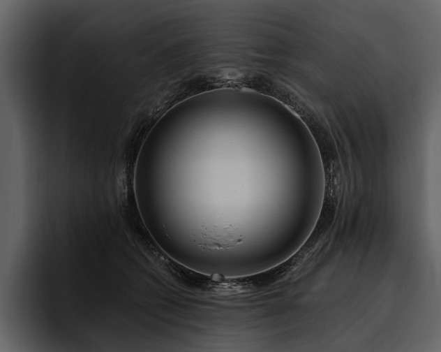 X0000095920562200801111237