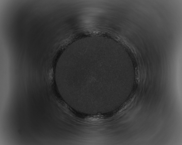 X0000095920563200801111237