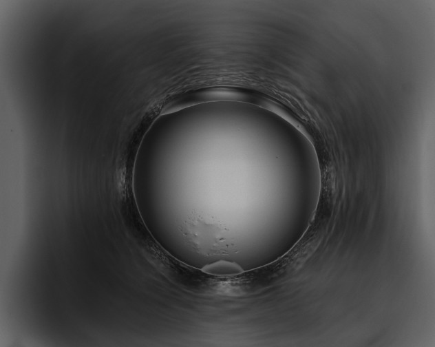 X0000095920564200801111237