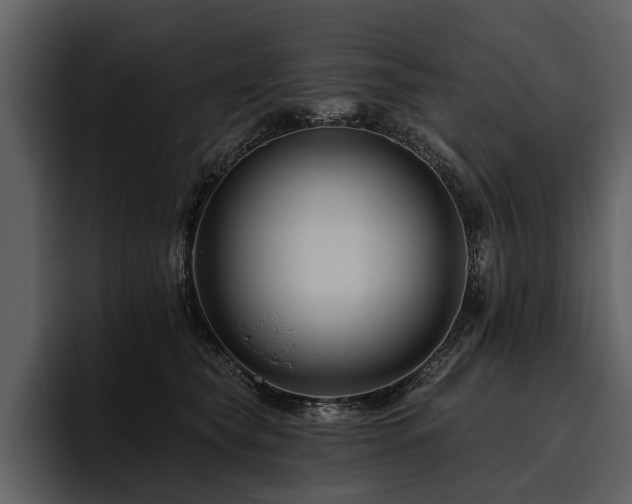 X0000095920565200801111237