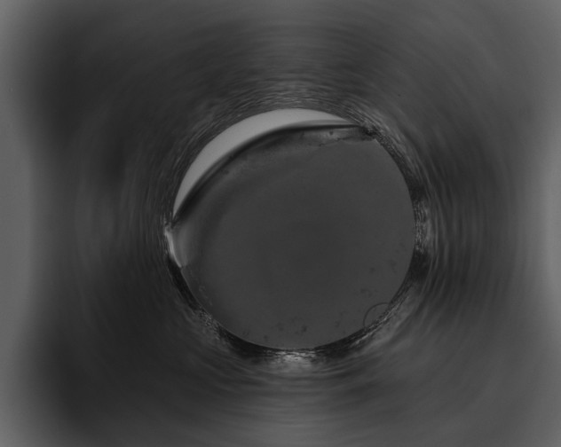 X0000095920573200801111237