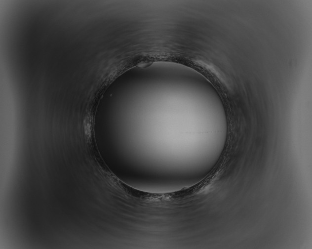 X0000095920576200801111237