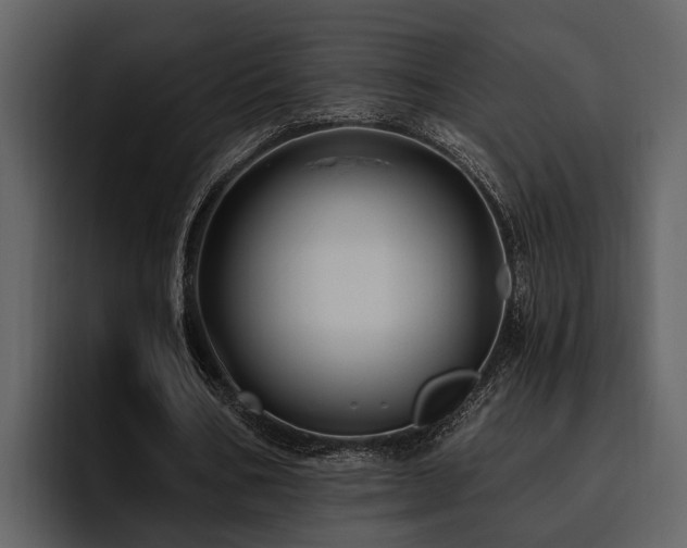 X0000095920578200801111237