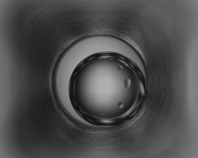 X0000095920581200801111237