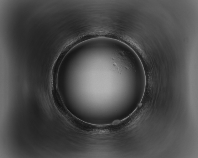 X0000095920582200801111237