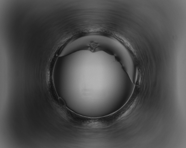 X0000095920589200801111237