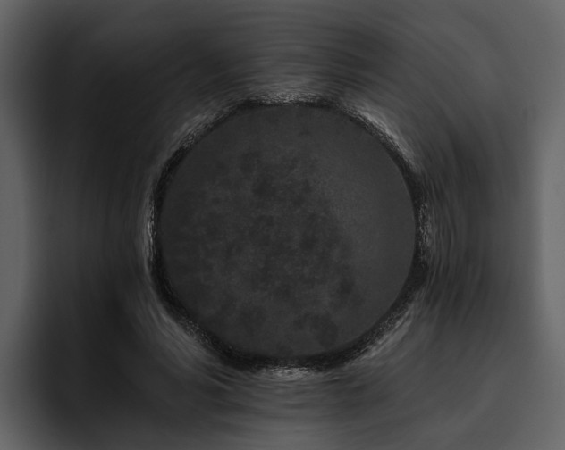 X0000095920590200801111237