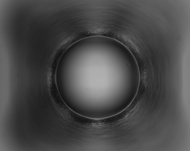 X0000095920591200801111237