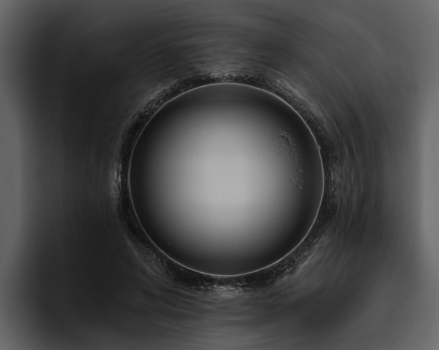 X0000095920592200801111237