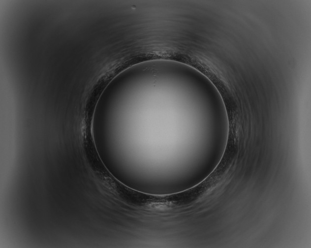 X0000095920595200801111237