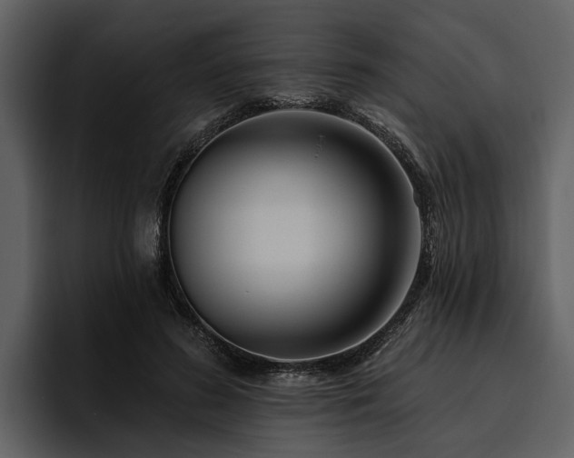 X0000095920596200801111237