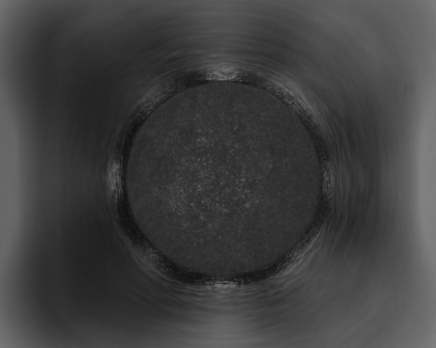 X0000095920598200801111237