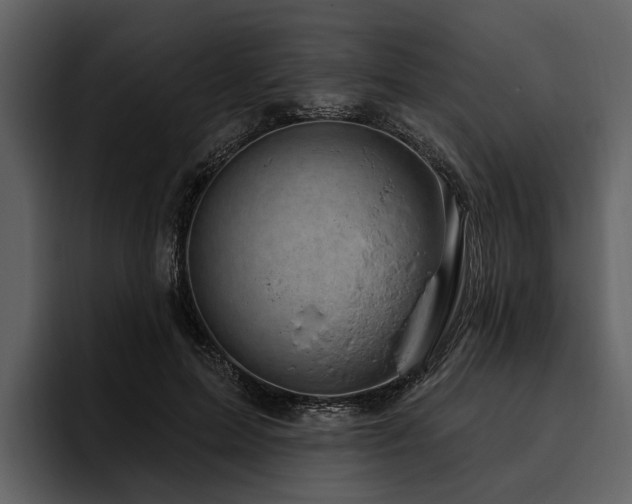 X0000095920599200801111237