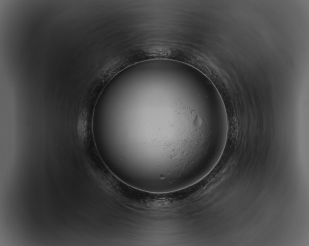 X0000095920600200801111236