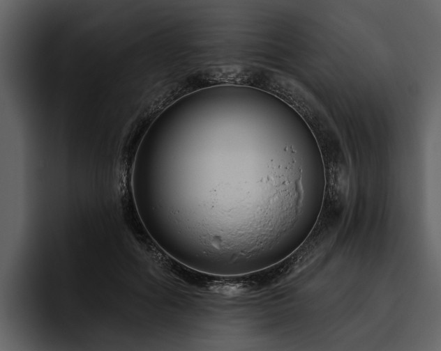 X0000095920602200801111236