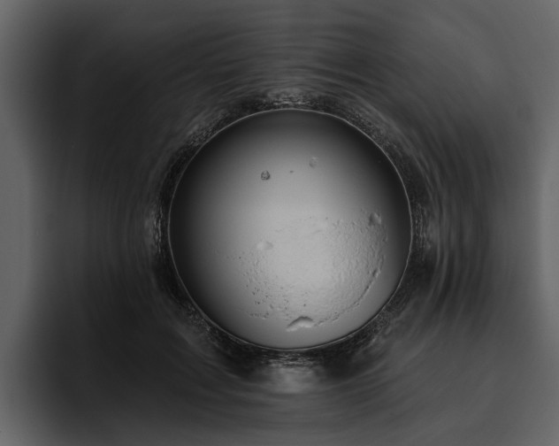 X0000095920603200801111236
