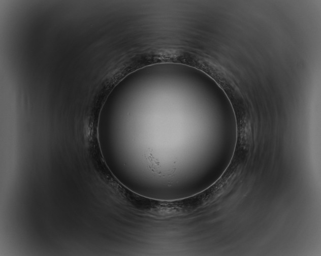 X0000095920608200801111236