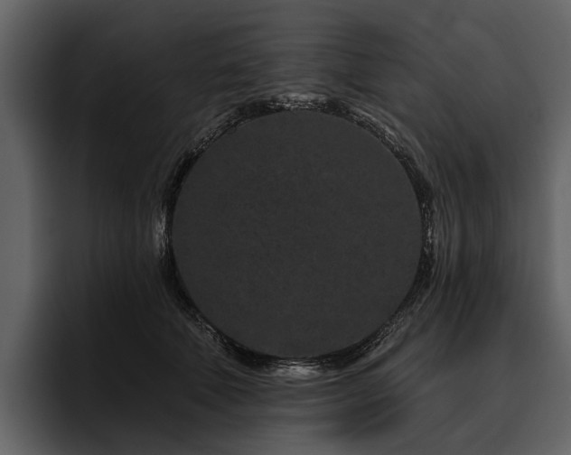 X0000095920610200801111236