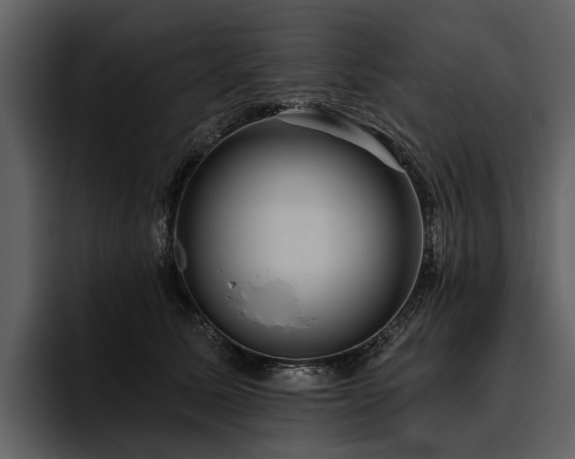 X0000095920611200801111236