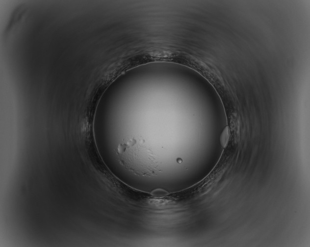 X0000095920614200801111236