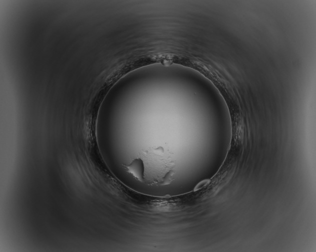 X0000095920616200801111236