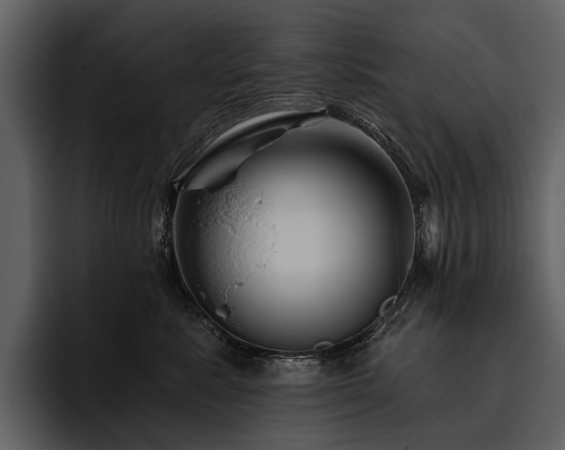 X0000095920619200801111236